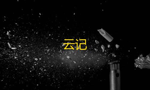 金铲铲自动辅助插件云记